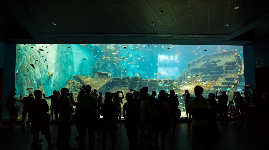 S.E.A. Aquarium, Singapore, Singapore