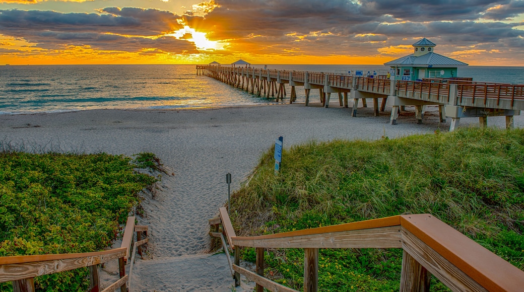 Juno Beach