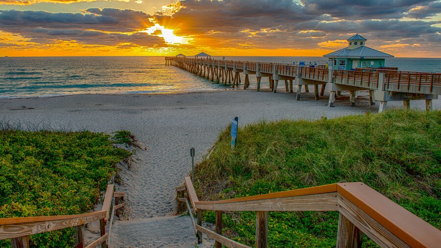 Juno Beach