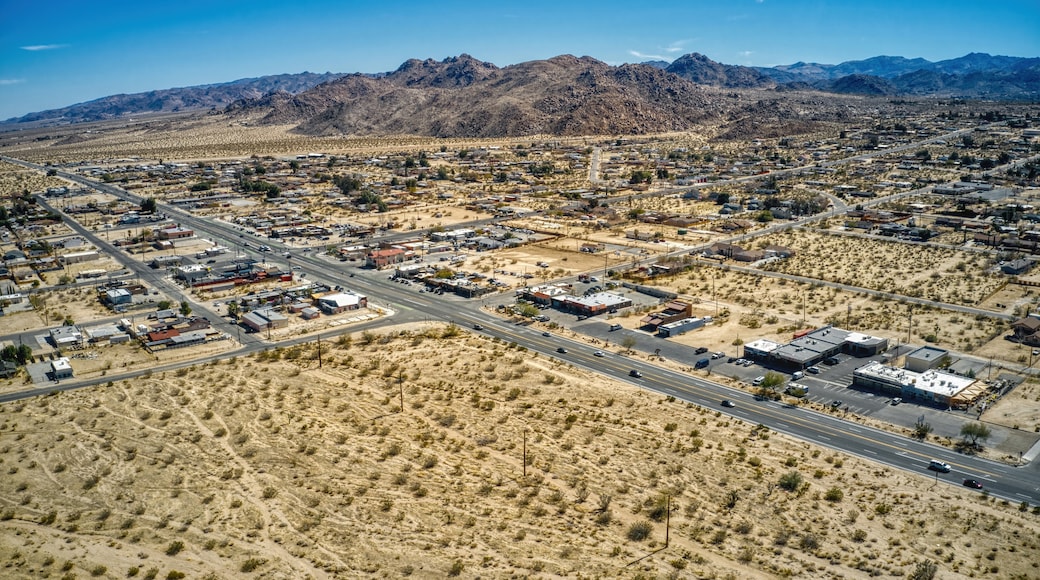 Joshua Tree