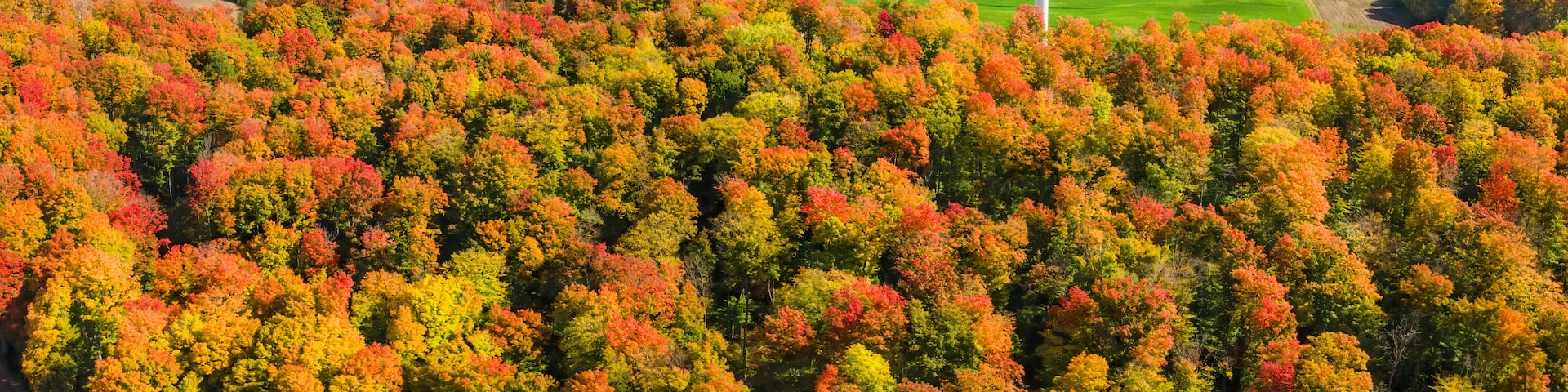 Cadillac, Michigan, Estados Unidos