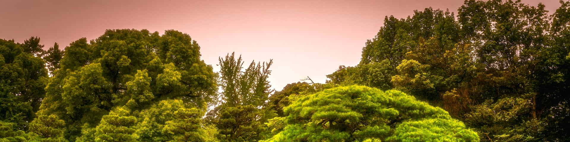 ๊ธฐํ๊ตฌ, ๊ตํ , ๊ตํ (ํ), ์ผ๋ณธ