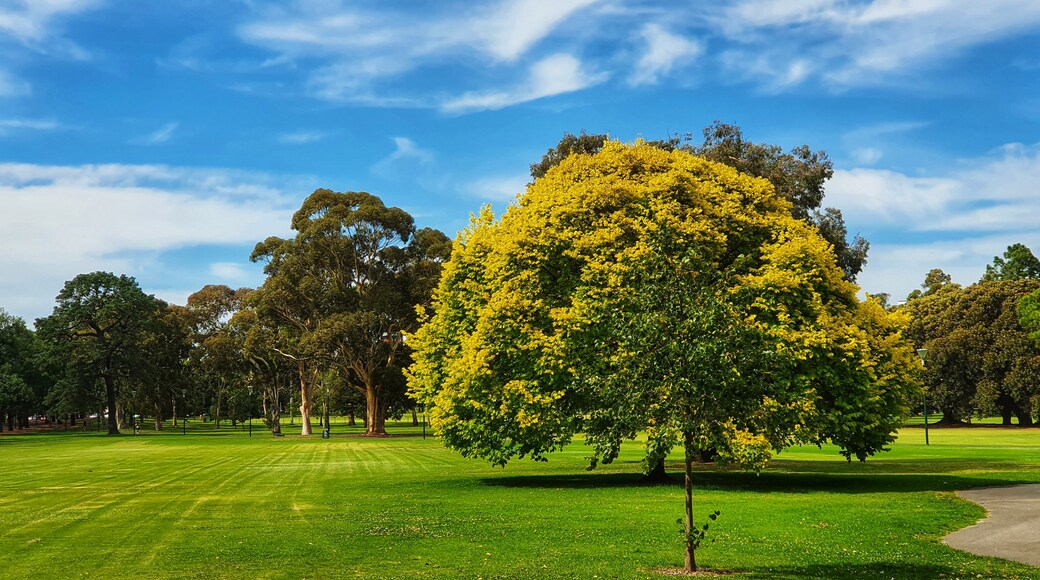 Fawkner