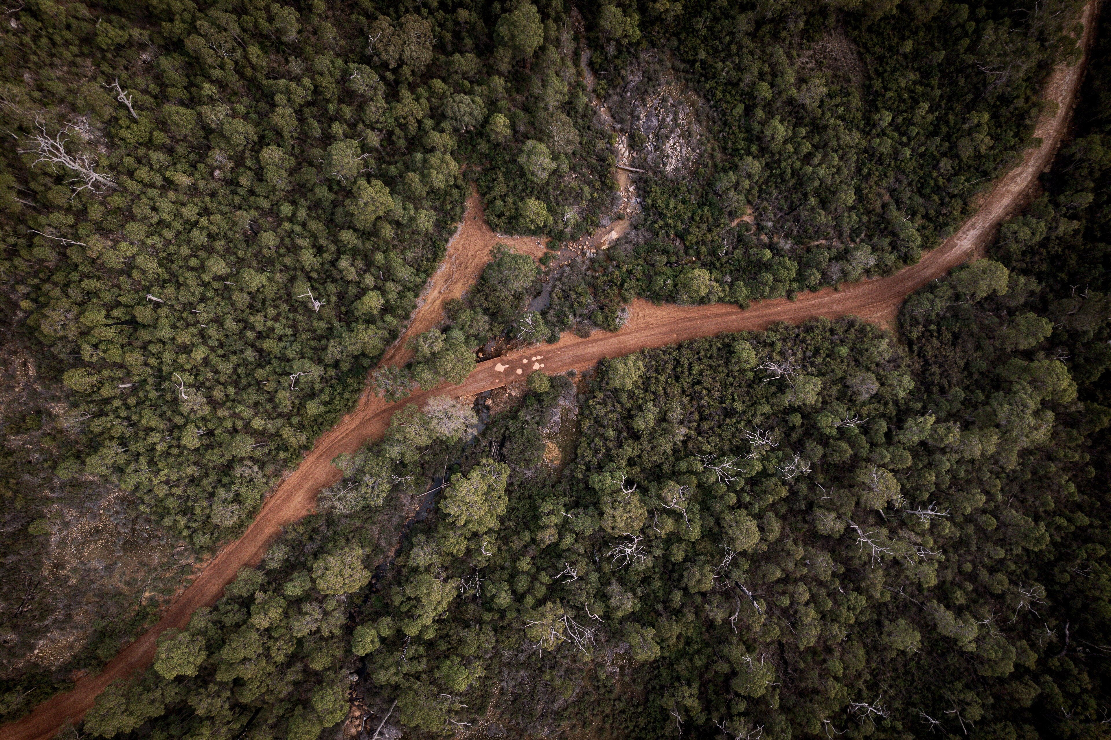 ドウ  ェリンガップ