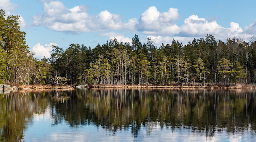 Tyresta nasjonalpark