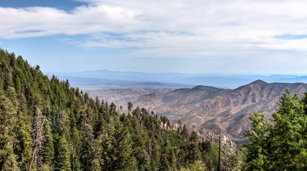 Mount Lemmon