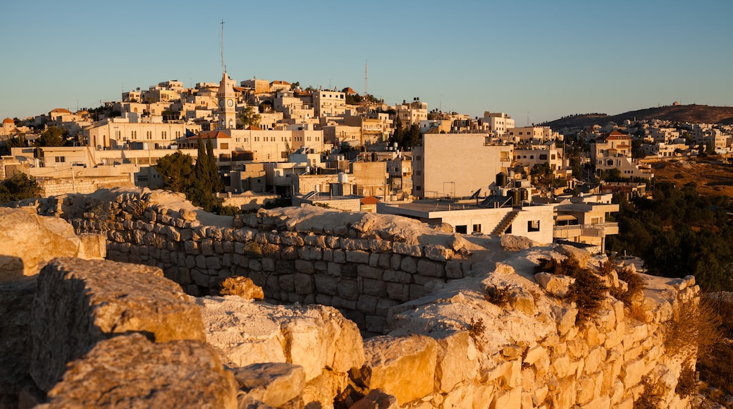 Israeli Settlement