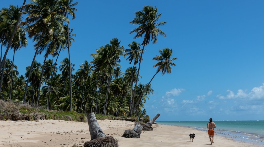 Praia do Patacho