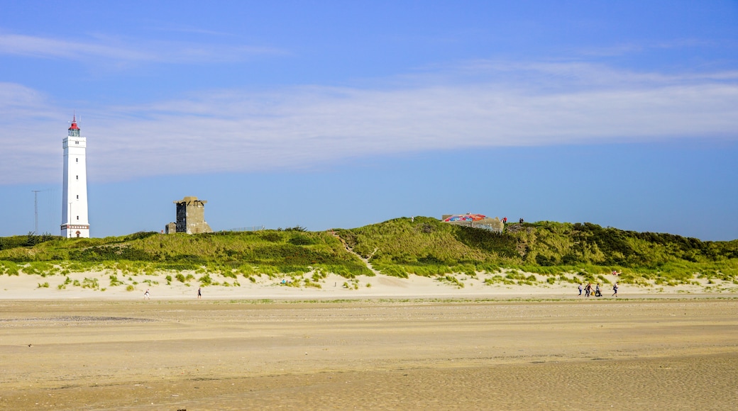 Blåvand Strand