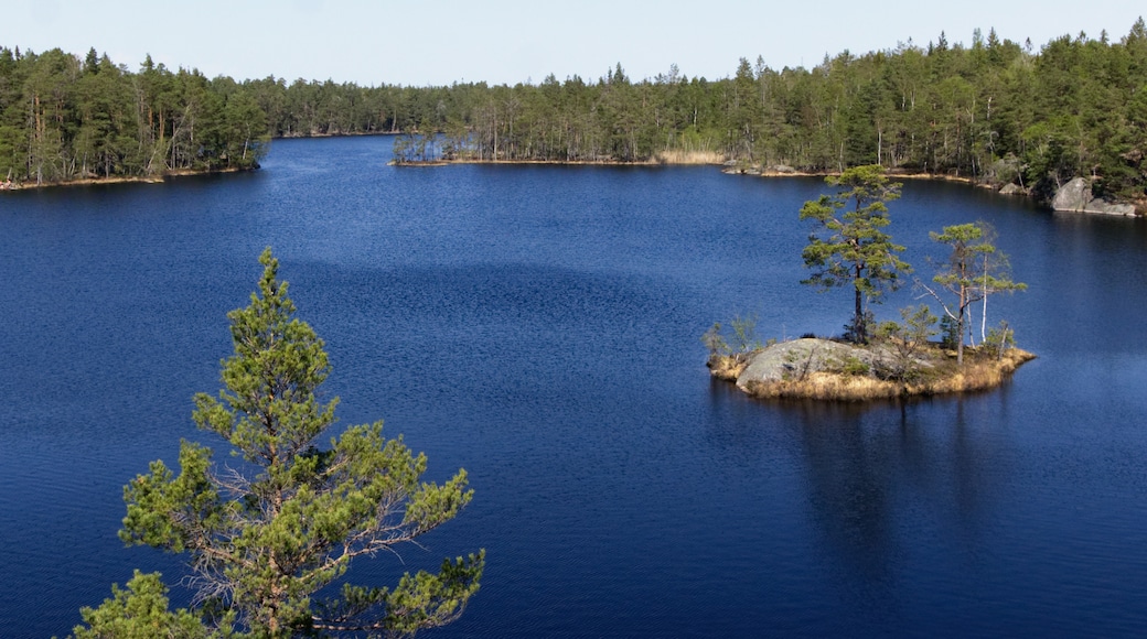 Tyresta nationalpark