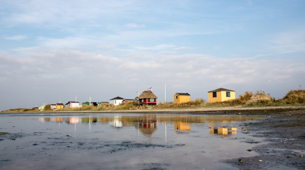 Ærø