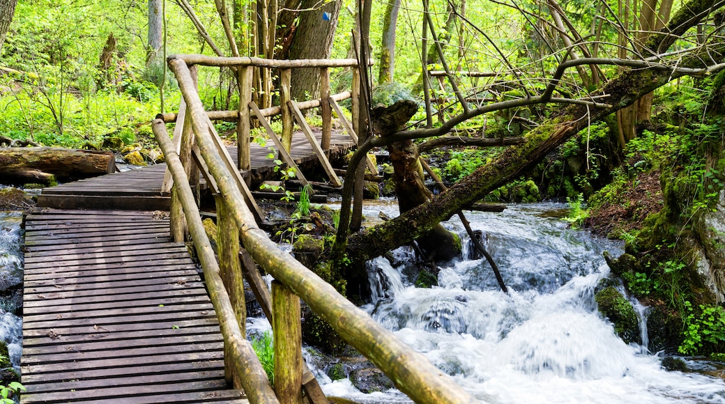 Parque nacional de Roztoczanski