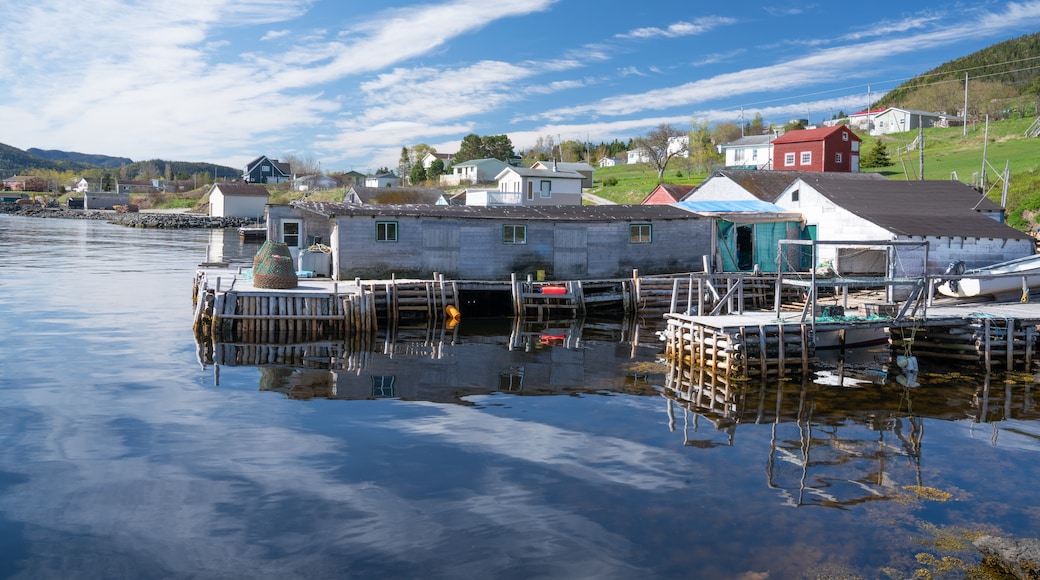 Bonne Bay