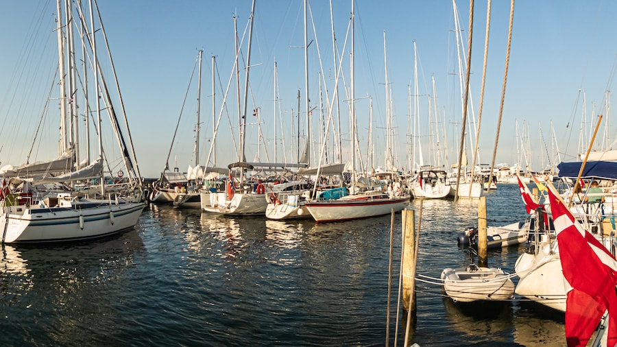 Muelle Ballen
