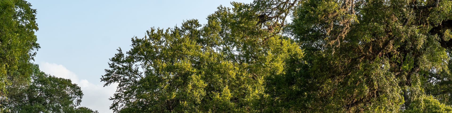 Boerne, Texas, Estados Unidos