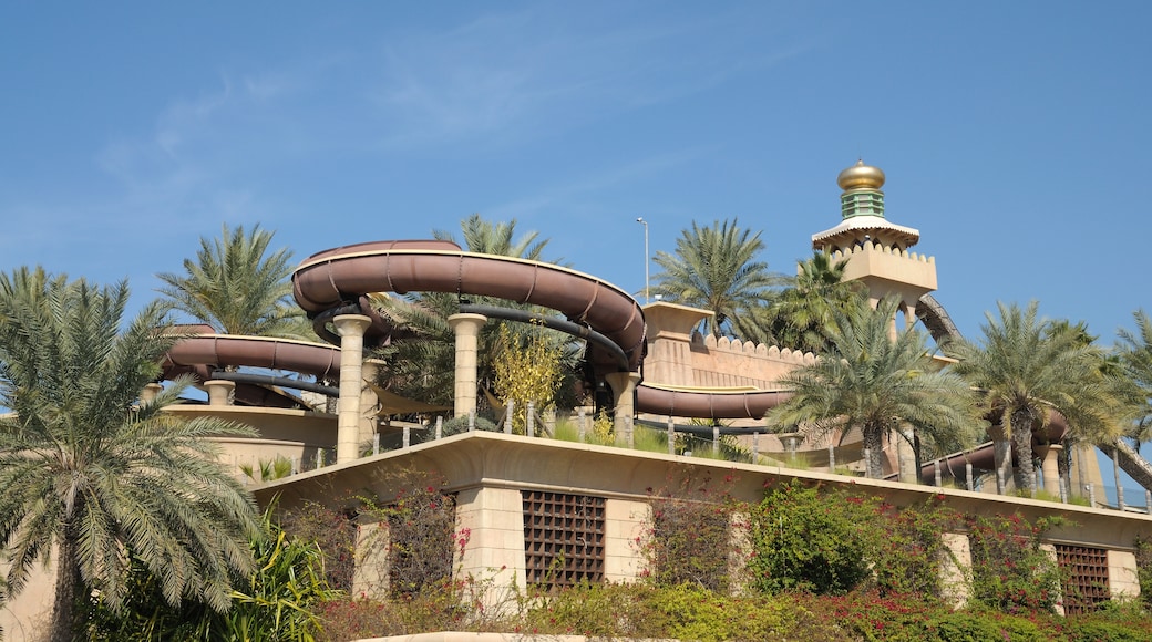 Parc aquatique Wild Wadi Water Park, Dubaï, Dubaï, Émirats arabes unis