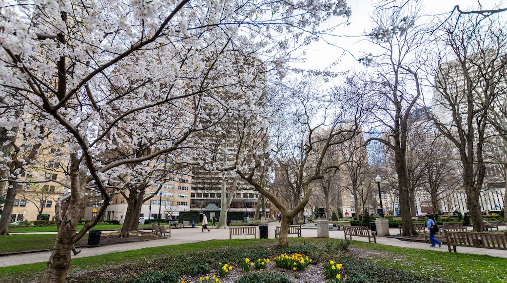 Rittenhouse Square