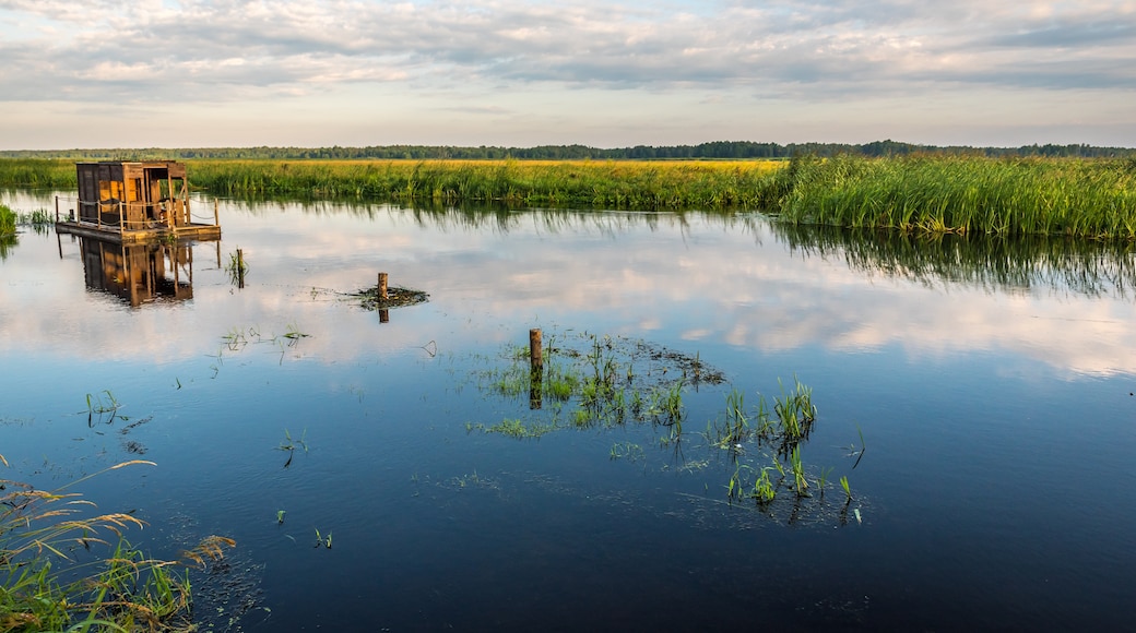 Nationalpark Biebrza-Flusstal