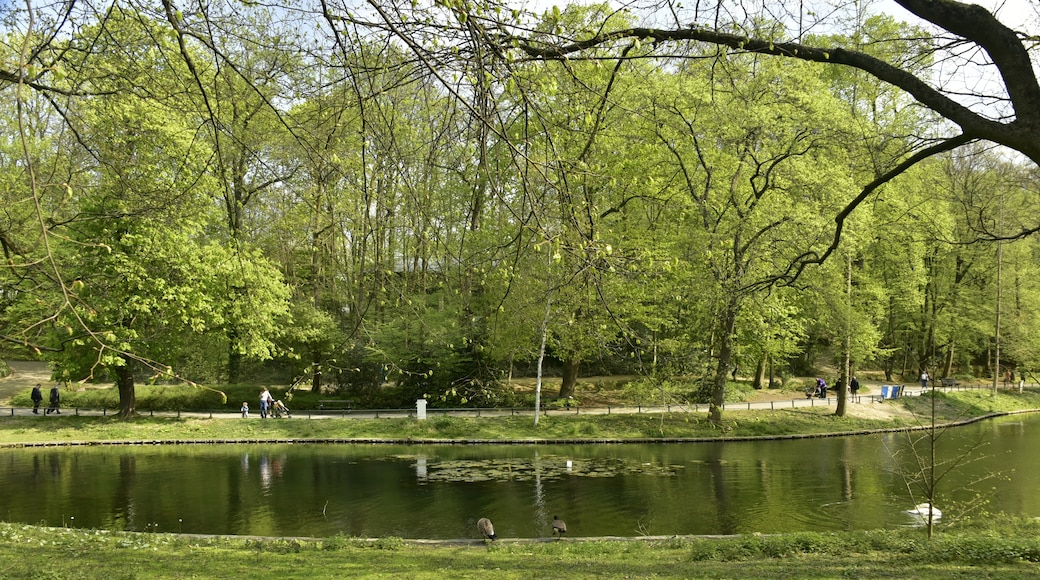 สวนสาธารณะโฌซาฟัต