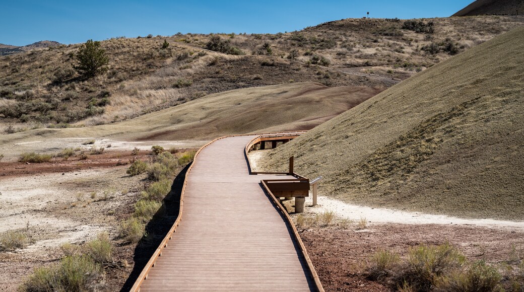 John Day Fossil Beds National Monument