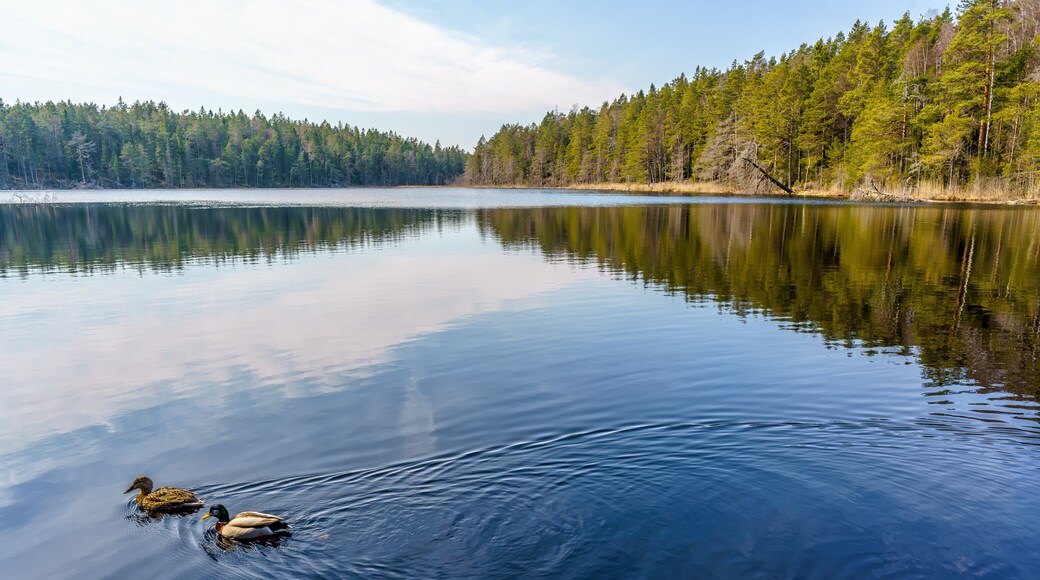 Tyresta National Park