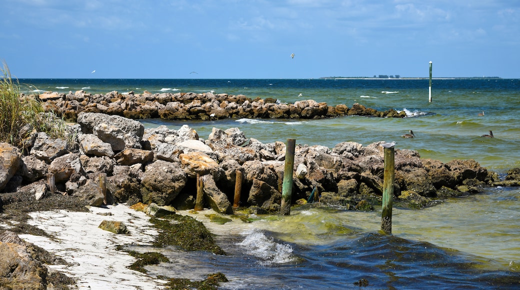 Pulau Harbour