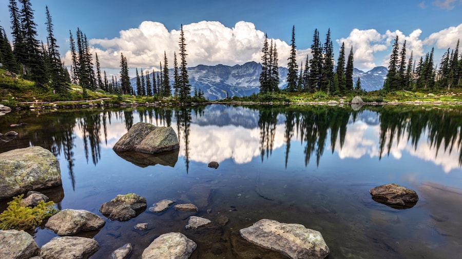 Harmony Lake Trail