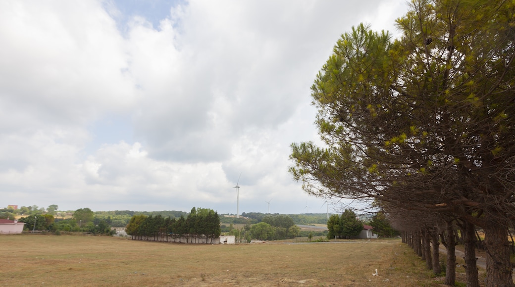 Provincia di Tekirdağ