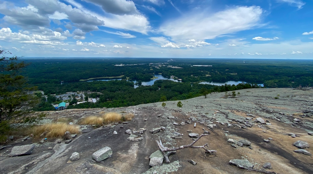 Stone Mountain