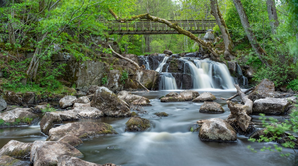 Stenshuvud nationalpark