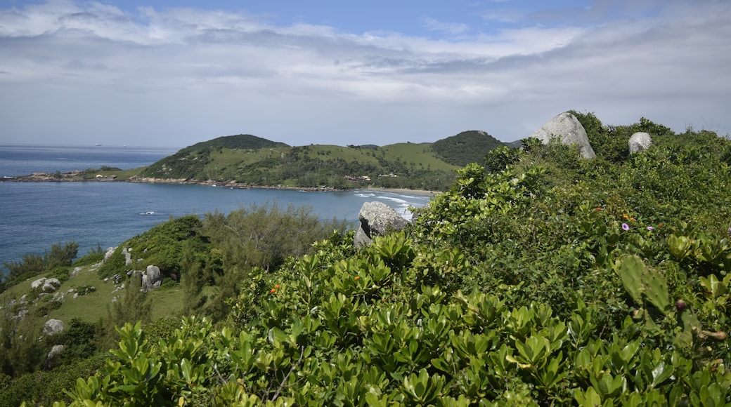 Praia da Ferrugem
