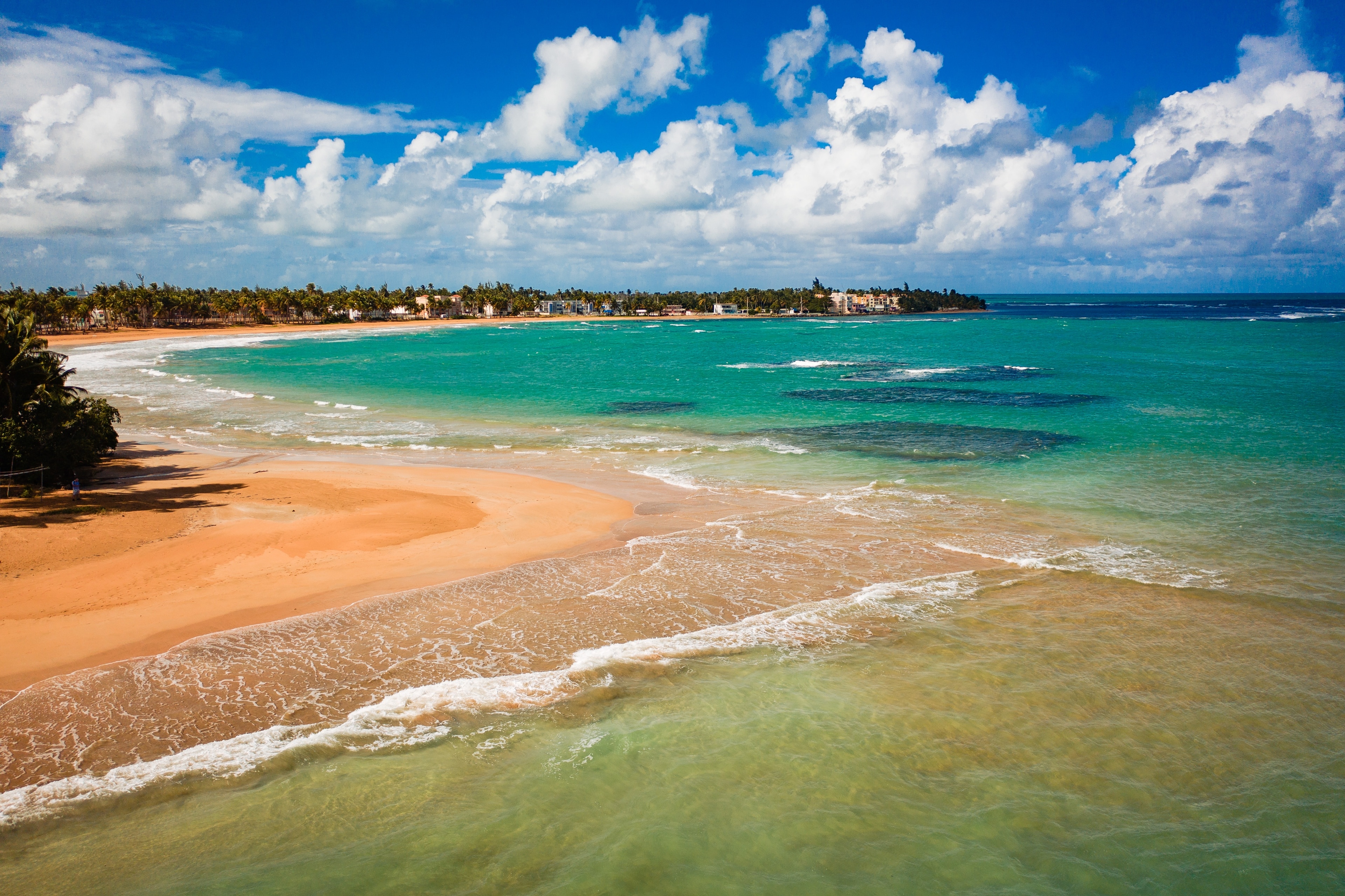 Estrella de Mar, Luquillo, Puerto Rico. Playa detras de los…