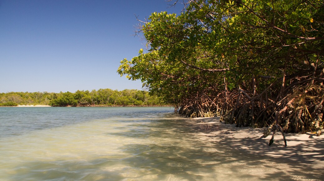 Laguna Shores