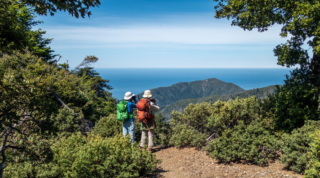 Lost Coast Trail