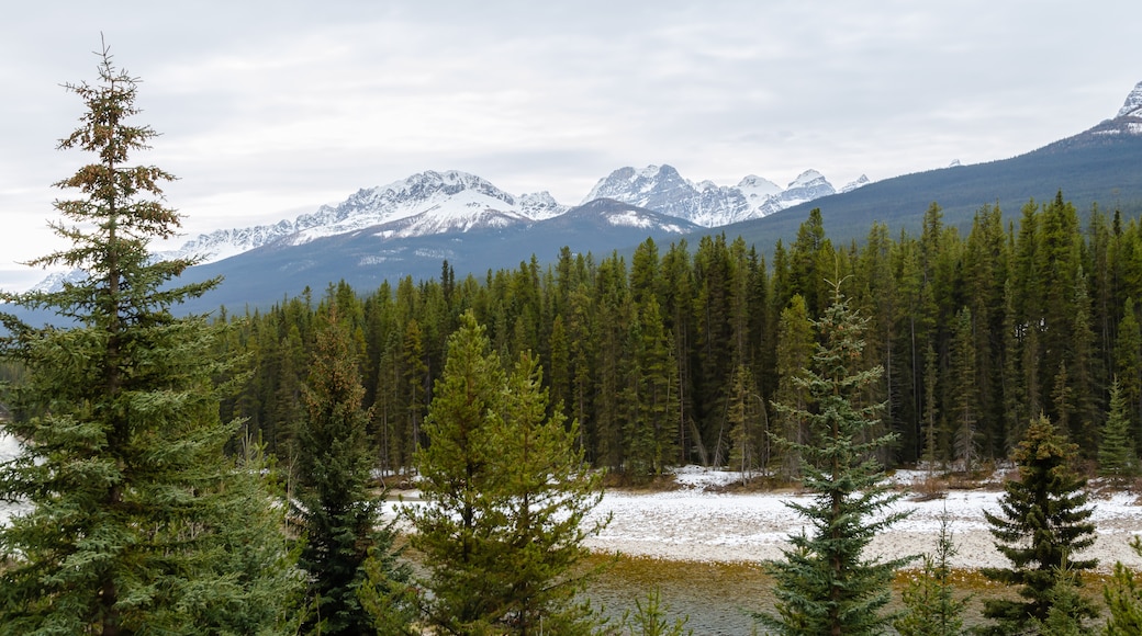 Banff Trail