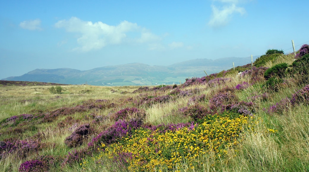 Cooley Mountains