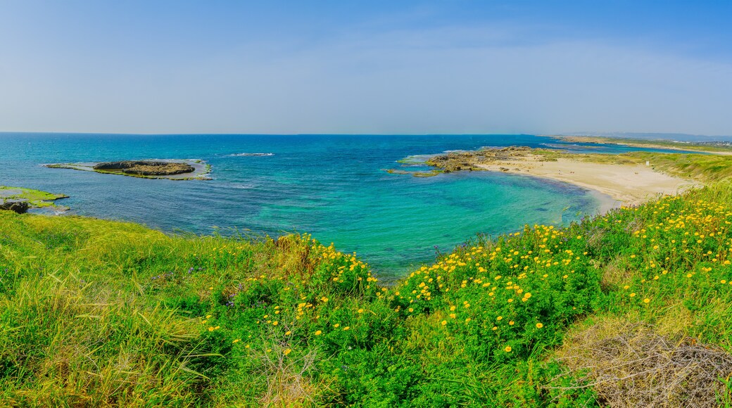 Plage de Dor