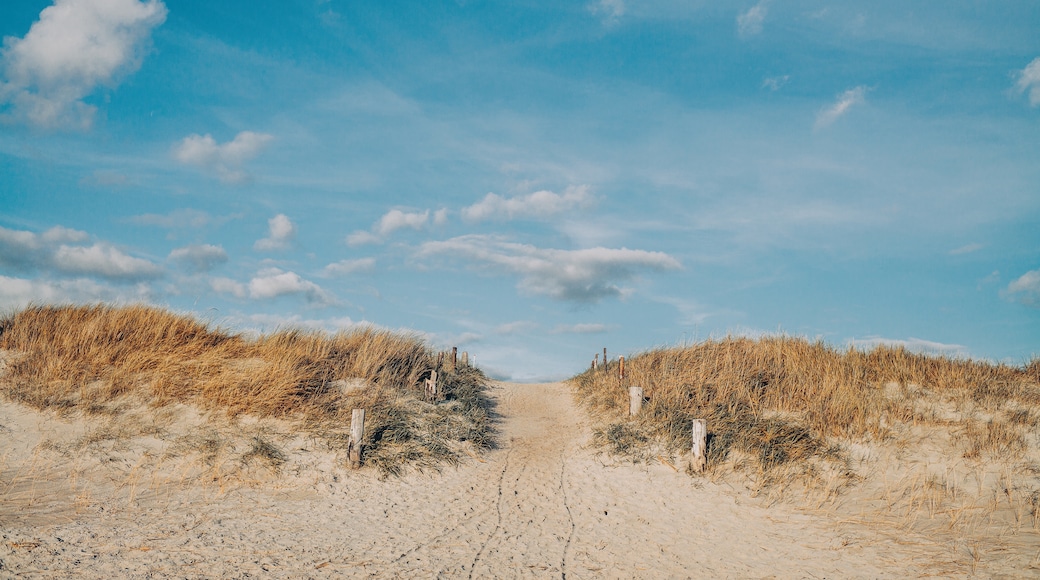 Blåvand strand