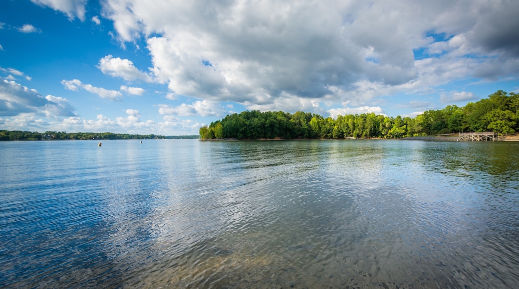 Lake Wylie