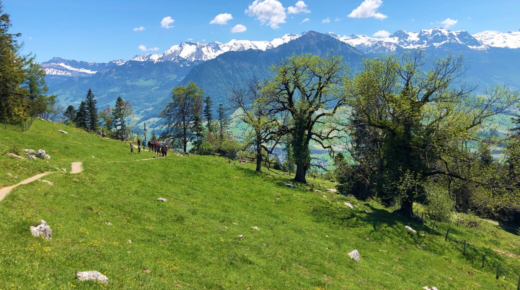 Bürgenstock