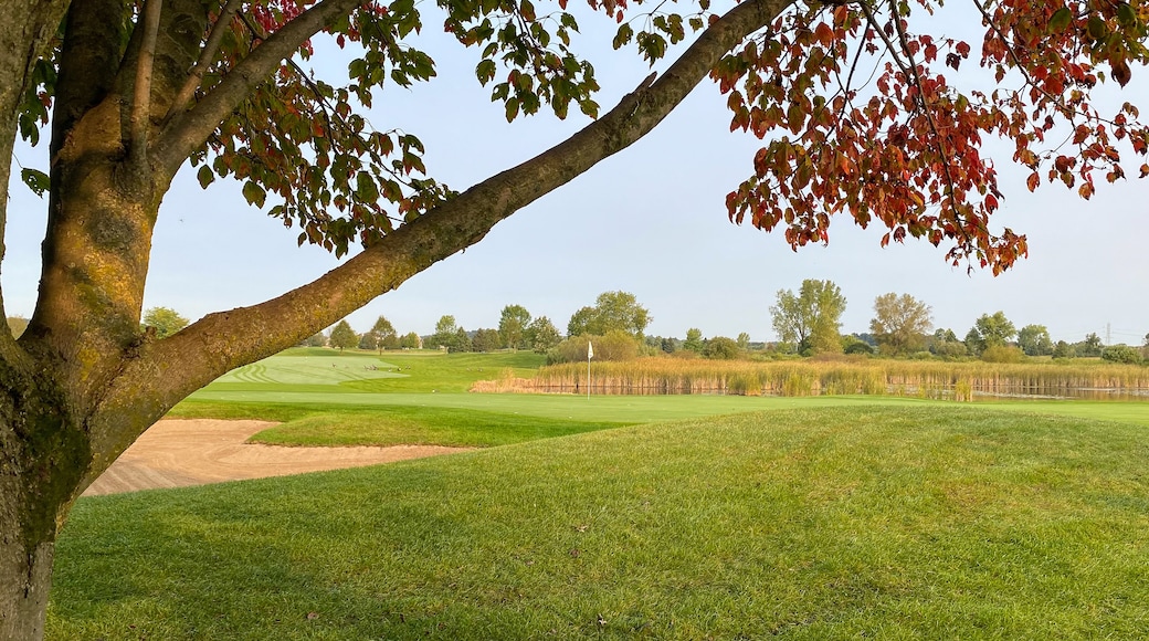 Oak Brook Golf Course