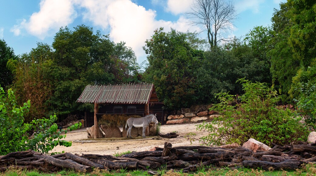 Parco Natura Viva