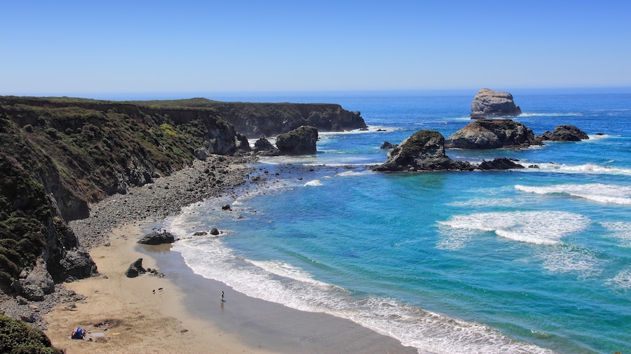 Sand Dollar Beach