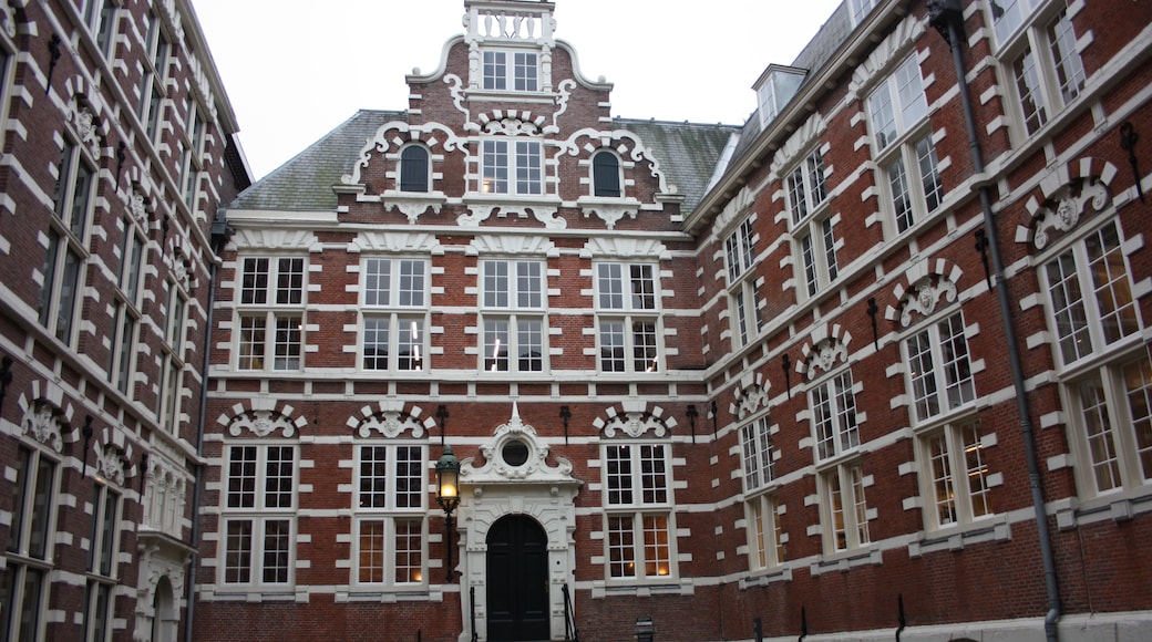 Amsterdamin yliopisto