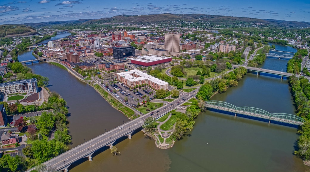 Binghamton