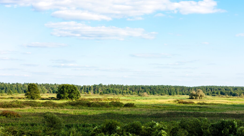 Nationalpark Biebrza-Flusstal