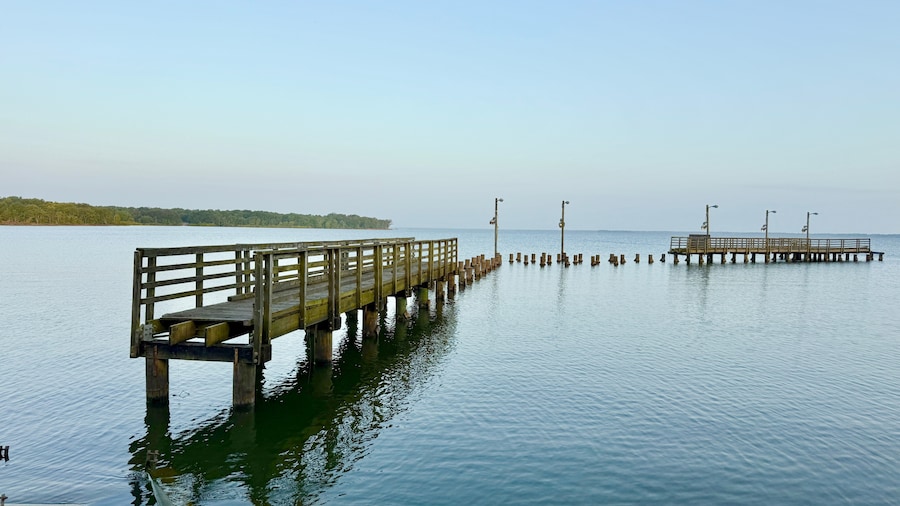 Cooper Lake State Park Beach