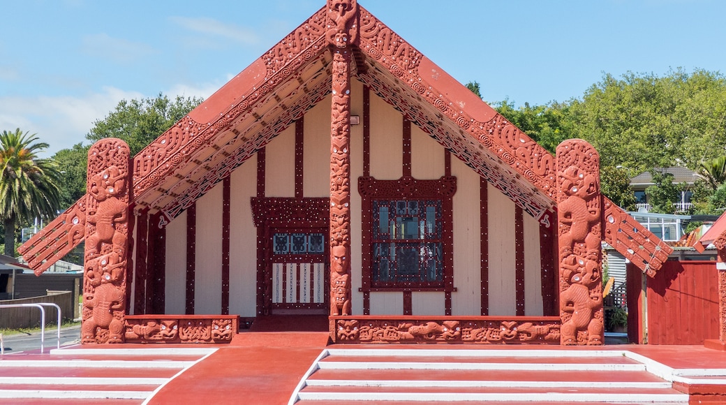 Chatham Islands