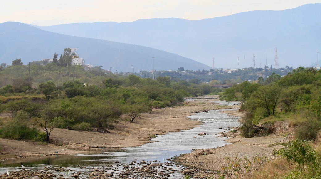 Ciudad Victoria