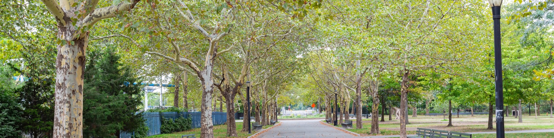 Flushing, Nueva York, Estados Unidos